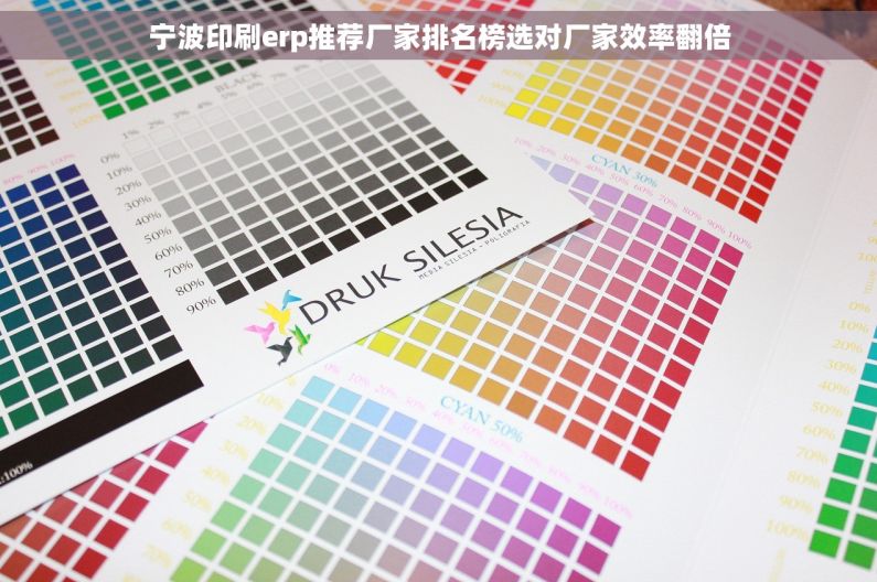 宁波印刷erp推荐厂家排名榜选对厂家效率翻倍