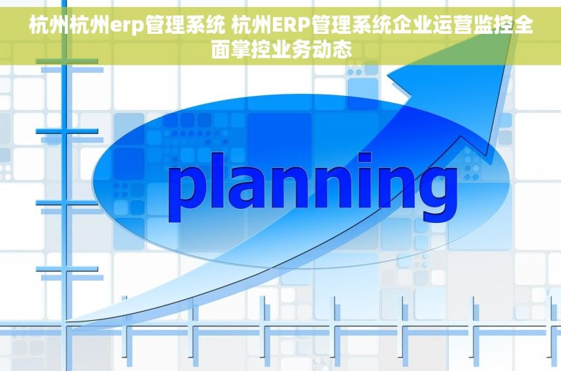 杭州杭州erp管理系统 杭州ERP管理系统企业运营监控全面掌控业务动态