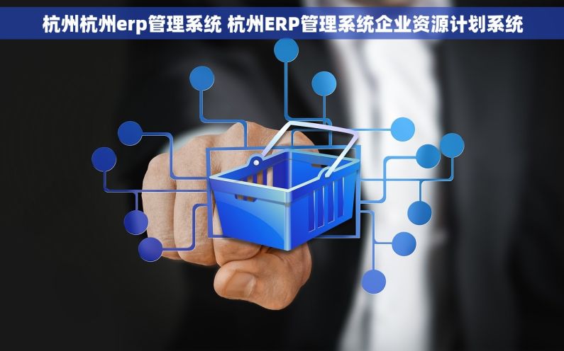 杭州杭州erp管理系统 杭州ERP管理系统企业资源计划系统