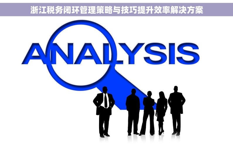浙江税务闭环管理策略与技巧提升效率解决方案