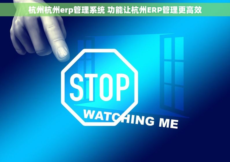杭州杭州erp管理系统 功能让杭州ERP管理更高效
