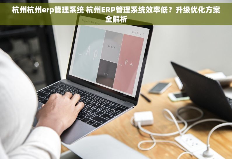 杭州杭州erp管理系统 杭州ERP管理系统效率低？升级优化方案全解析