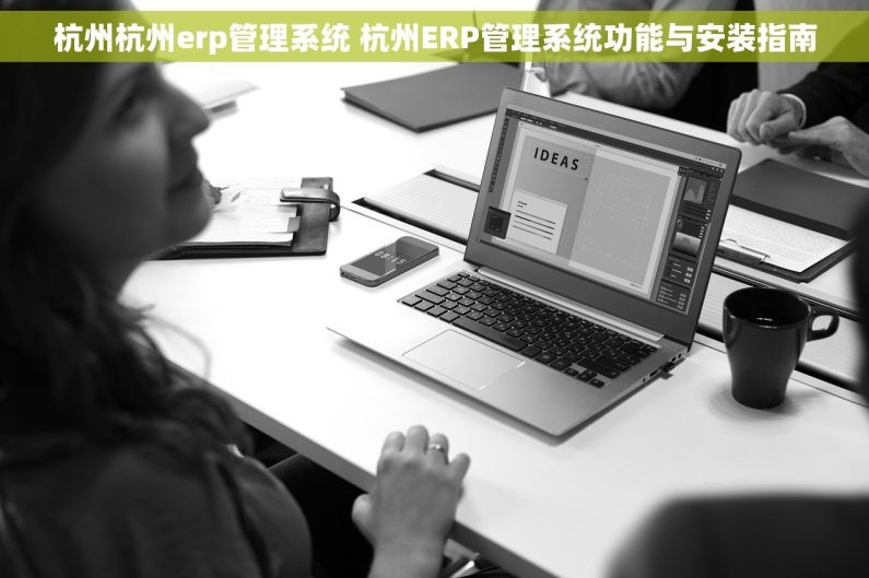 杭州杭州erp管理系统 杭州ERP管理系统功能与安装指南