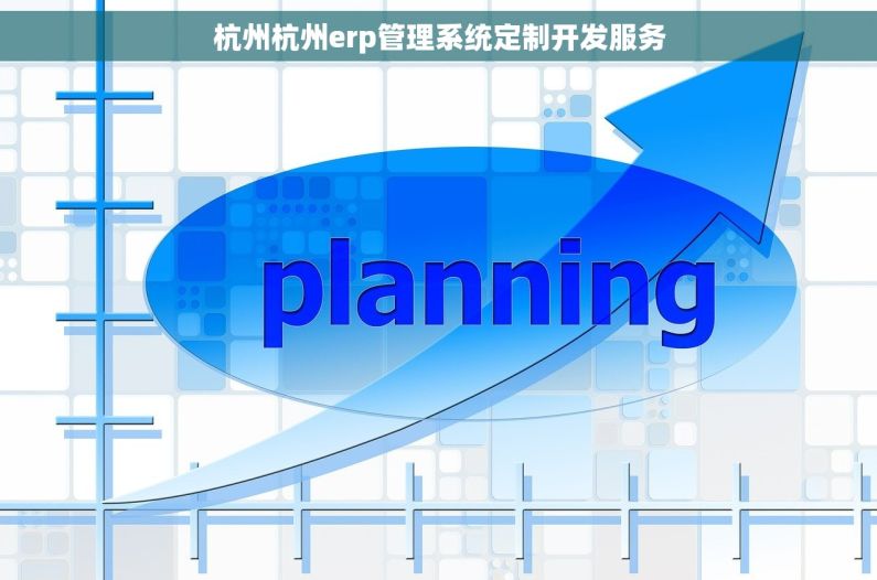杭州杭州erp管理系统定制开发服务