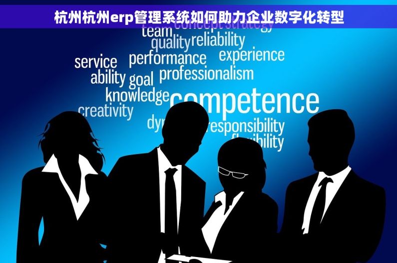 杭州杭州erp管理系统如何助力企业数字化转型