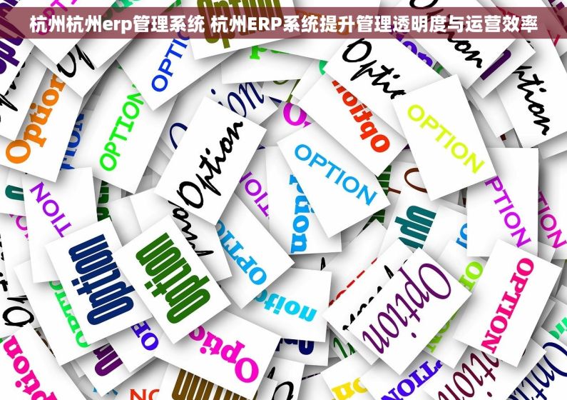 杭州杭州erp管理系统 杭州ERP系统提升管理透明度与运营效率