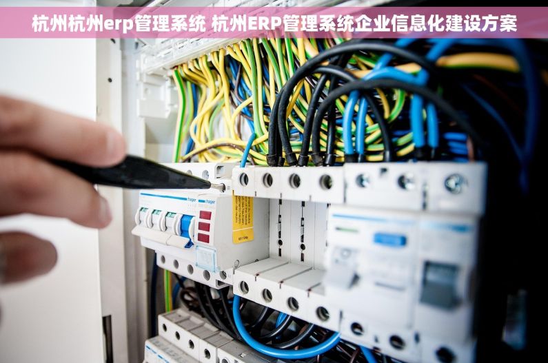 杭州杭州erp管理系统 杭州ERP管理系统企业信息化建设方案