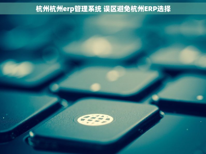 杭州杭州erp管理系统 误区避免杭州ERP选择