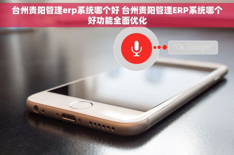 台州贵阳管理erp系统哪个好 台州贵阳管理ERP系统哪个好功能全面优化
