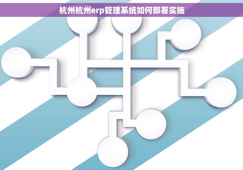 杭州杭州erp管理系统如何部署实施