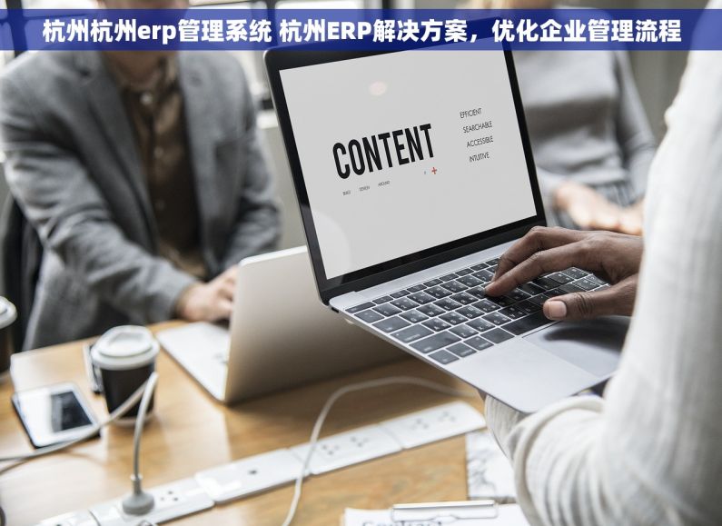 杭州杭州erp管理系统 杭州ERP解决方案，优化企业管理流程