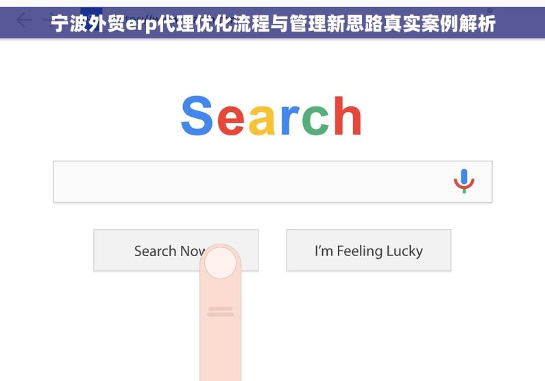 宁波外贸erp代理优化流程与管理新思路真实案例解析