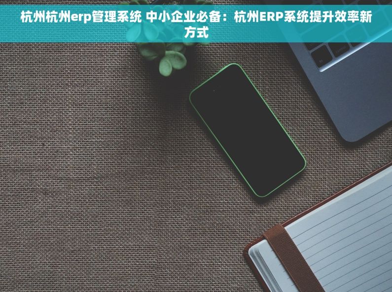 杭州杭州erp管理系统 中小企业必备：杭州ERP系统提升效率新方式