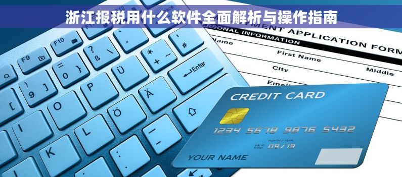 浙江报税用什么软件全面解析与操作指南