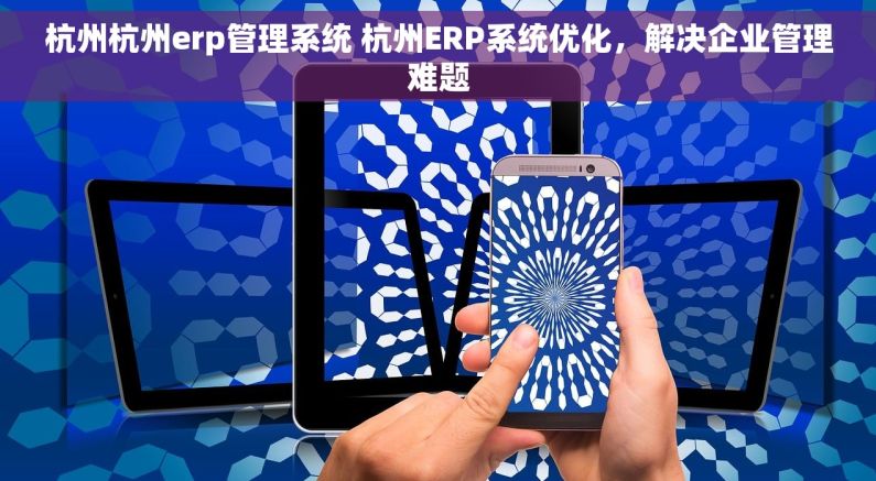 杭州杭州erp管理系统 杭州ERP系统优化，解决企业管理难题