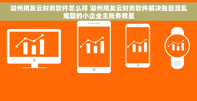 湖州用友云财务软件怎么样 湖州用友云财务软件解决账目混乱难题的小企业主账务救星