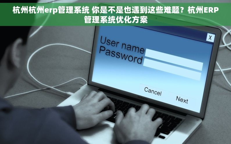 杭州杭州erp管理系统 你是不是也遇到这些难题？杭州ERP管理系统优化方案