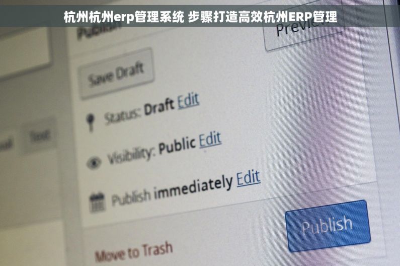 杭州杭州erp管理系统 步骤打造高效杭州ERP管理