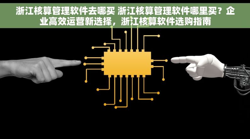 浙江核算管理软件去哪买 浙江核算管理软件哪里买？企业高效运营新选择，浙江核算软件选购指南