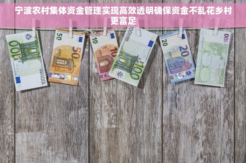 宁波农村集体资金管理实现高效透明确保资金不乱花乡村更富足