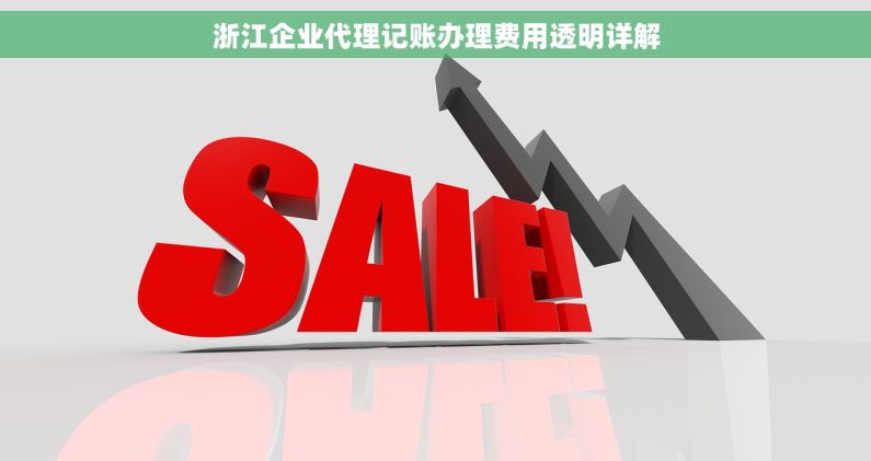 浙江企业代理记账办理费用透明详解