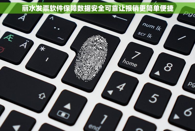 丽水发票软件保障数据安全可靠让报销更简单便捷