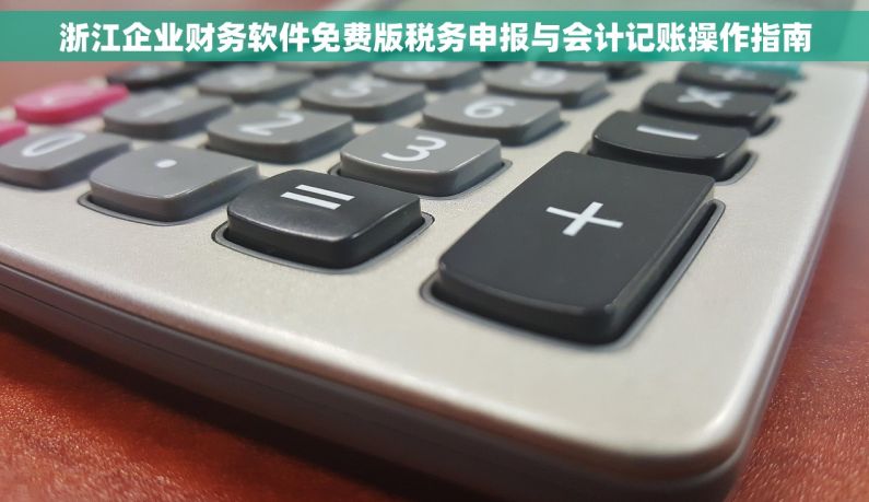 浙江企业财务软件免费版税务申报与会计记账操作指南