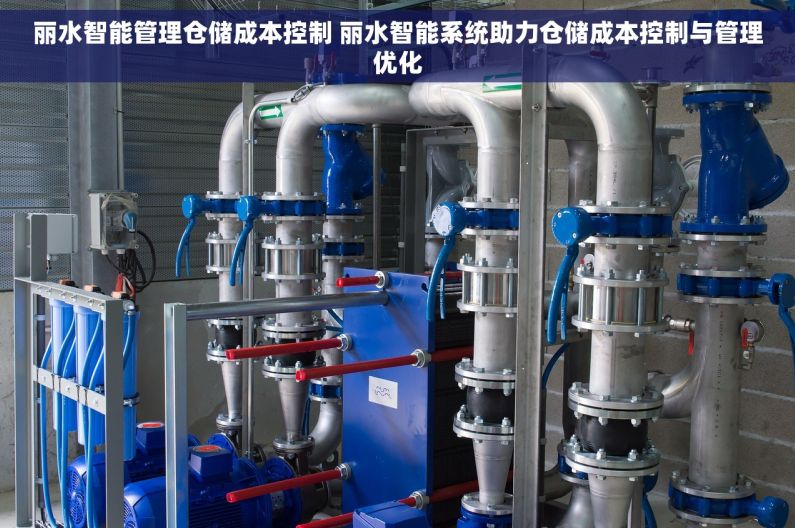 丽水智能管理仓储成本控制 丽水智能系统助力仓储成本控制与管理优化
