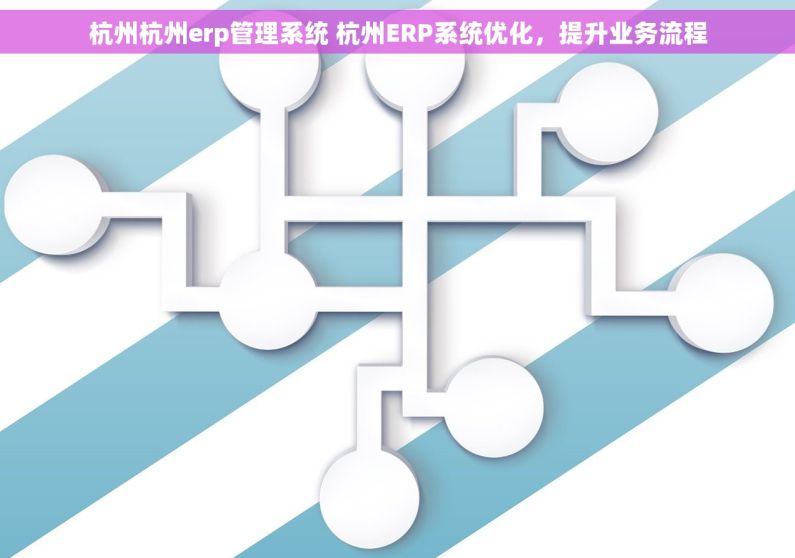 杭州杭州erp管理系统 杭州ERP系统优化，提升业务流程