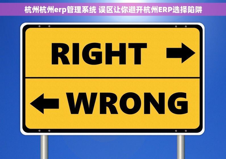 杭州杭州erp管理系统 误区让你避开杭州ERP选择陷阱