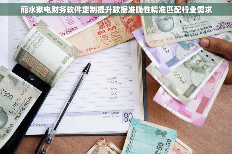 丽水家电财务软件定制提升数据准确性精准匹配行业需求