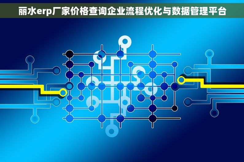 丽水erp厂家价格查询企业流程优化与数据管理平台