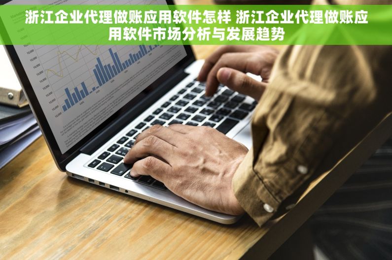 浙江企业代理做账应用软件怎样 浙江企业代理做账应用软件市场分析与发展趋势