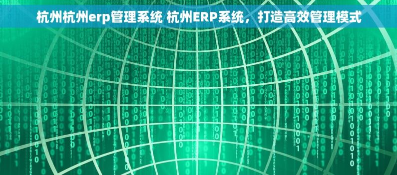 杭州杭州erp管理系统 杭州ERP系统，打造高效管理模式