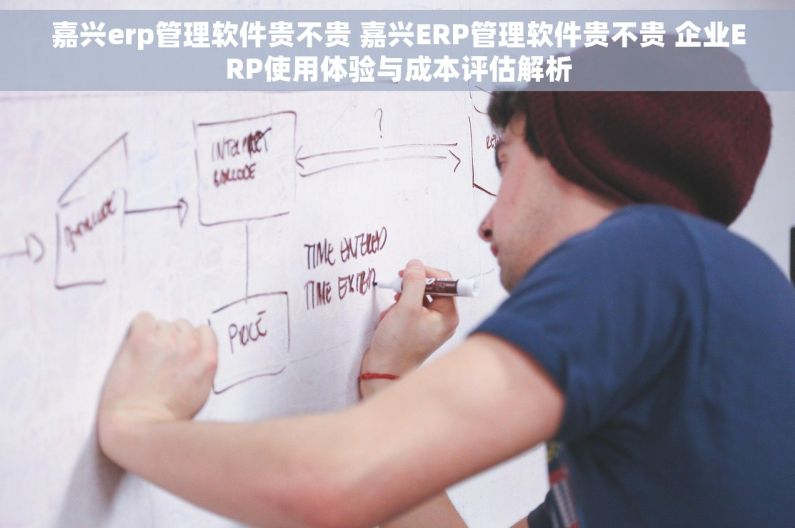 嘉兴erp管理软件贵不贵 嘉兴ERP管理软件贵不贵 企业ERP使用体验与成本评估解析