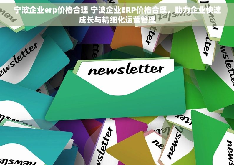 宁波企业erp价格合理 宁波企业ERP价格合理，助力企业快速成长与精细化运营管理