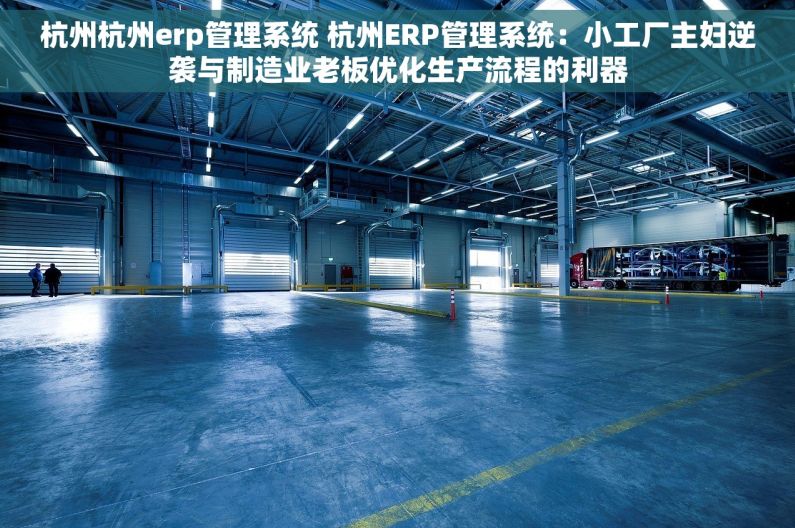杭州杭州erp管理系统 杭州ERP管理系统：小工厂主妇逆袭与制造业老板优化生产流程的利器