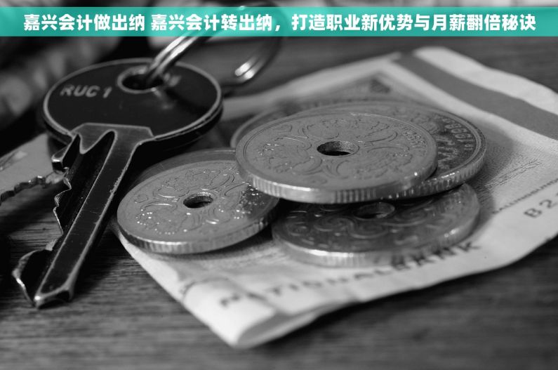 嘉兴会计做出纳 嘉兴会计转出纳，打造职业新优势与月薪翻倍秘诀