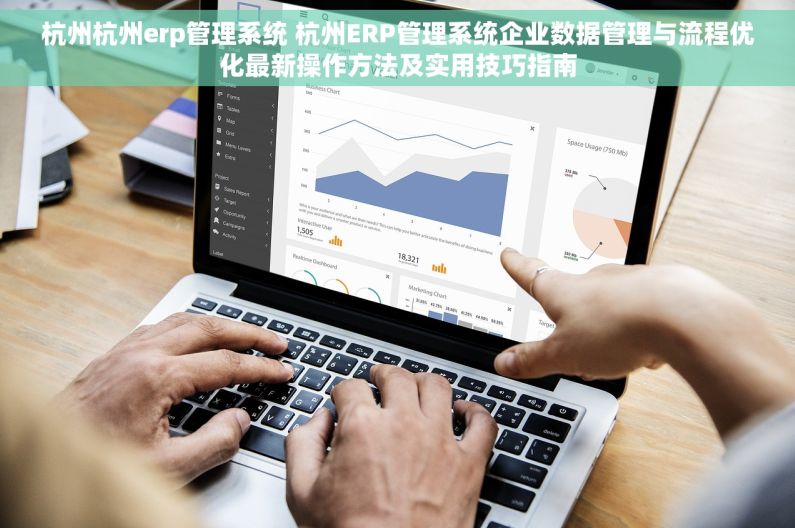 杭州杭州erp管理系统 杭州ERP管理系统企业数据管理与流程优化最新操作方法及实用技巧指南