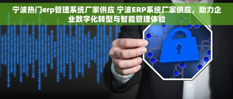 宁波热门erp管理系统厂家供应 宁波ERP系统厂家供应，助力企业数字化转型与智能管理体验