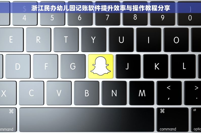 浙江民办幼儿园记账软件提升效率与操作教程分享