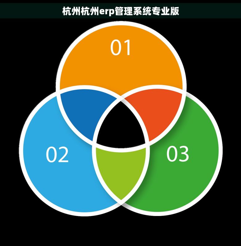 杭州杭州erp管理系统专业版
