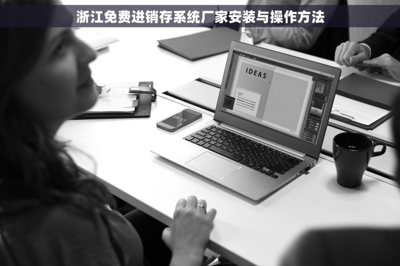 浙江免费进销存系统厂家安装与操作方法