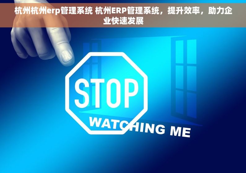 杭州杭州erp管理系统 杭州ERP管理系统，提升效率，助力企业快速发展
