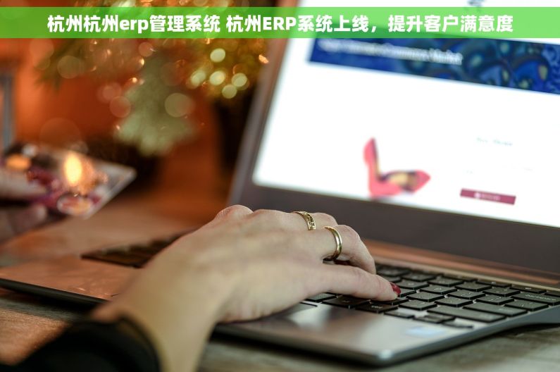 杭州杭州erp管理系统 杭州ERP系统上线，提升客户满意度
