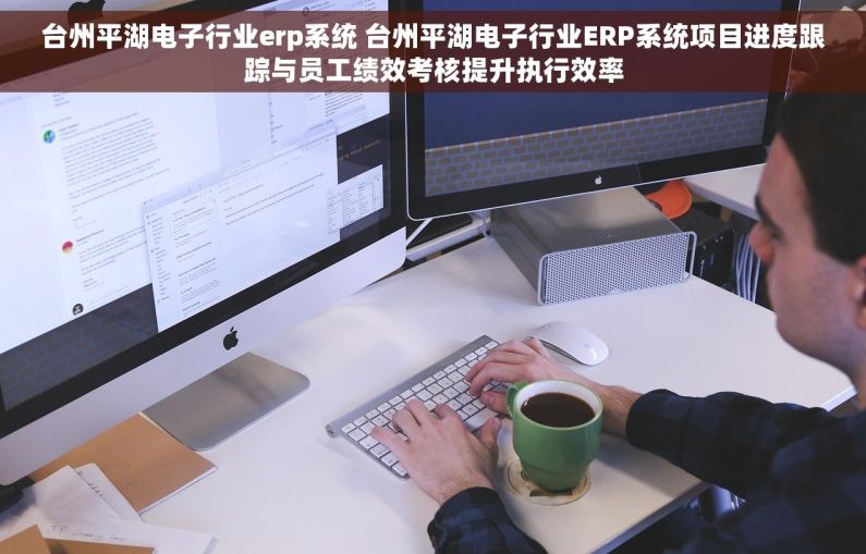 台州平湖电子行业erp系统 台州平湖电子行业ERP系统项目进度跟踪与员工绩效考核提升执行效率