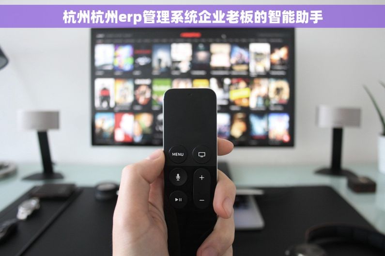 杭州杭州erp管理系统企业老板的智能助手