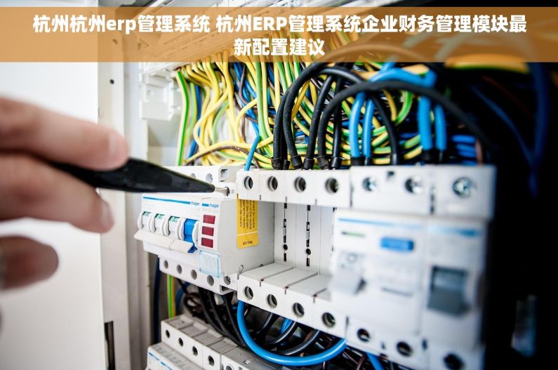 杭州杭州erp管理系统 杭州ERP管理系统企业财务管理模块最新配置建议