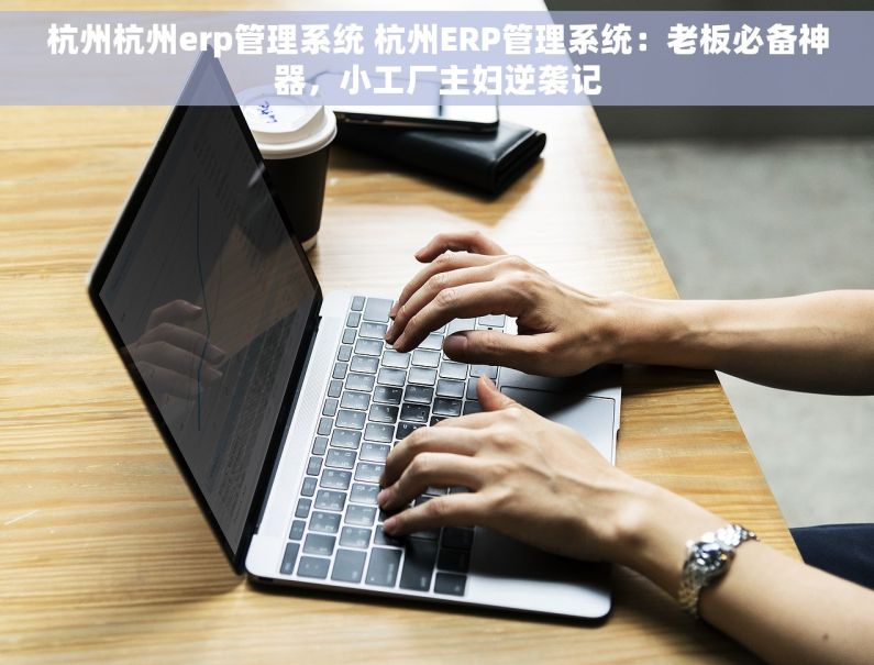 杭州杭州erp管理系统 杭州ERP管理系统：老板必备神器，小工厂主妇逆袭记