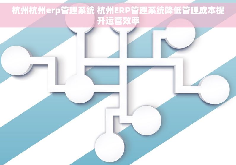 杭州杭州erp管理系统 杭州ERP管理系统降低管理成本提升运营效率